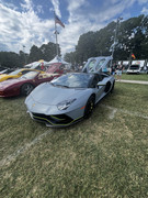 IMG-3545