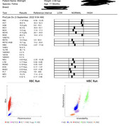 CF4BFE71-368C-44EB-BC48-1B8634A6B9B1