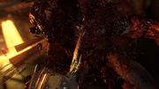 DOOM-20200220095405