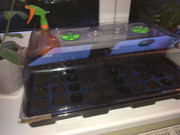 3B040889-CAD2-43A2-8432-B235D3AEB44B