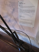 IMG-7748.jpg