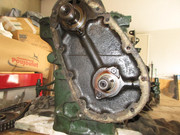 IMG-3878.jpg