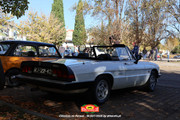 IMG-7413