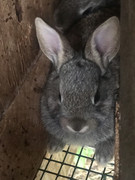 87BB9B77-E68C-433F-8440-3FB5AF0A0D18