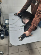 C9DBF865-FAEC-4F92-BD12-D9B1864165ED