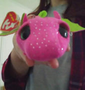 09-of-13-Darby-looks-at-you-with-his-big-eyes-x-D