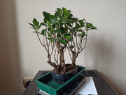 IMG-20200331-154131