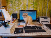 desk1.jpg