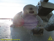 IMG-3559