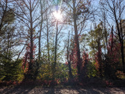 PXL_20211004_140107796