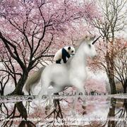 spring contest entry 1