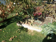 [Image: IMG-20251028-131927473-BURST000-COVER.jpg]