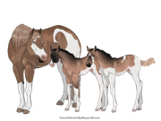 74D22643-24A4-49B6-B4FF-BF70B9783E4A