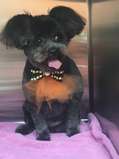 BDF31407-6F58-4A19-AD68-C1DF1AB5796A