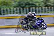 DSC0295
