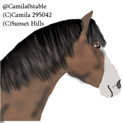 Sooty Chestnut - HEE Contest