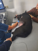 2B4D5695-6104-473B-AA4A-480F104E7907