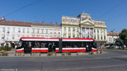 IMG-7431