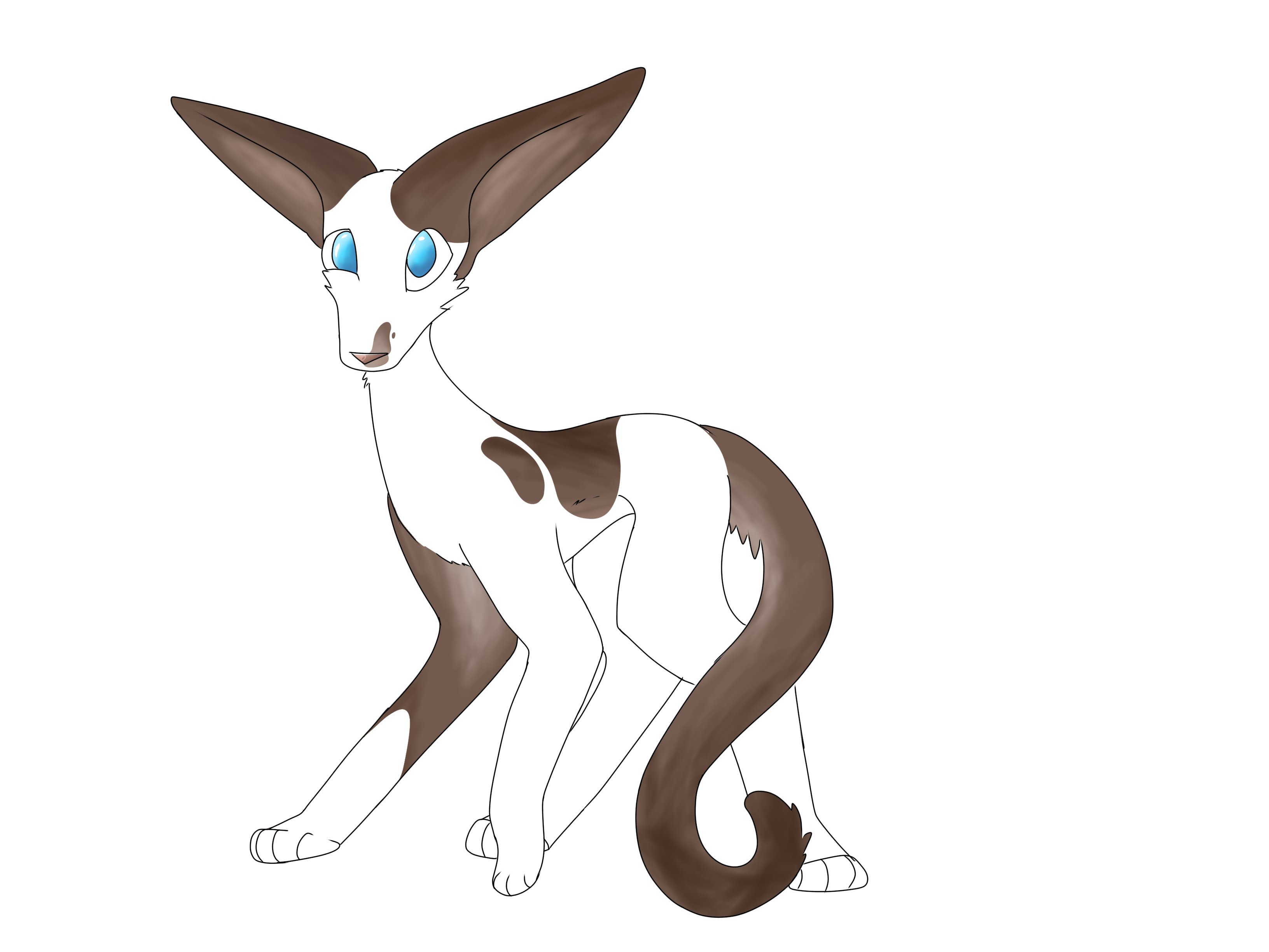 GICQ0969.png
