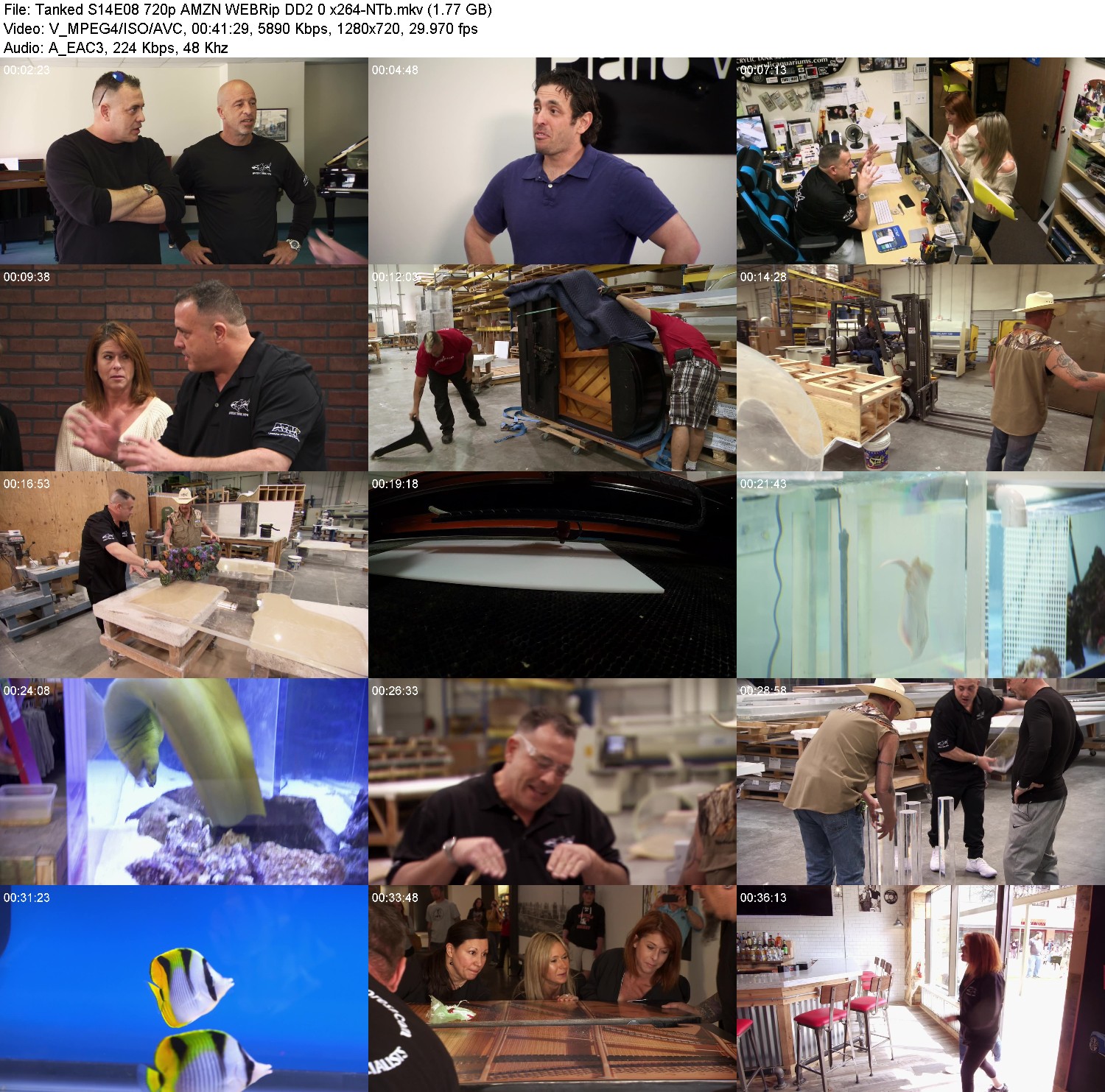 [Image: x2mcdaa5h3d8.jpg]