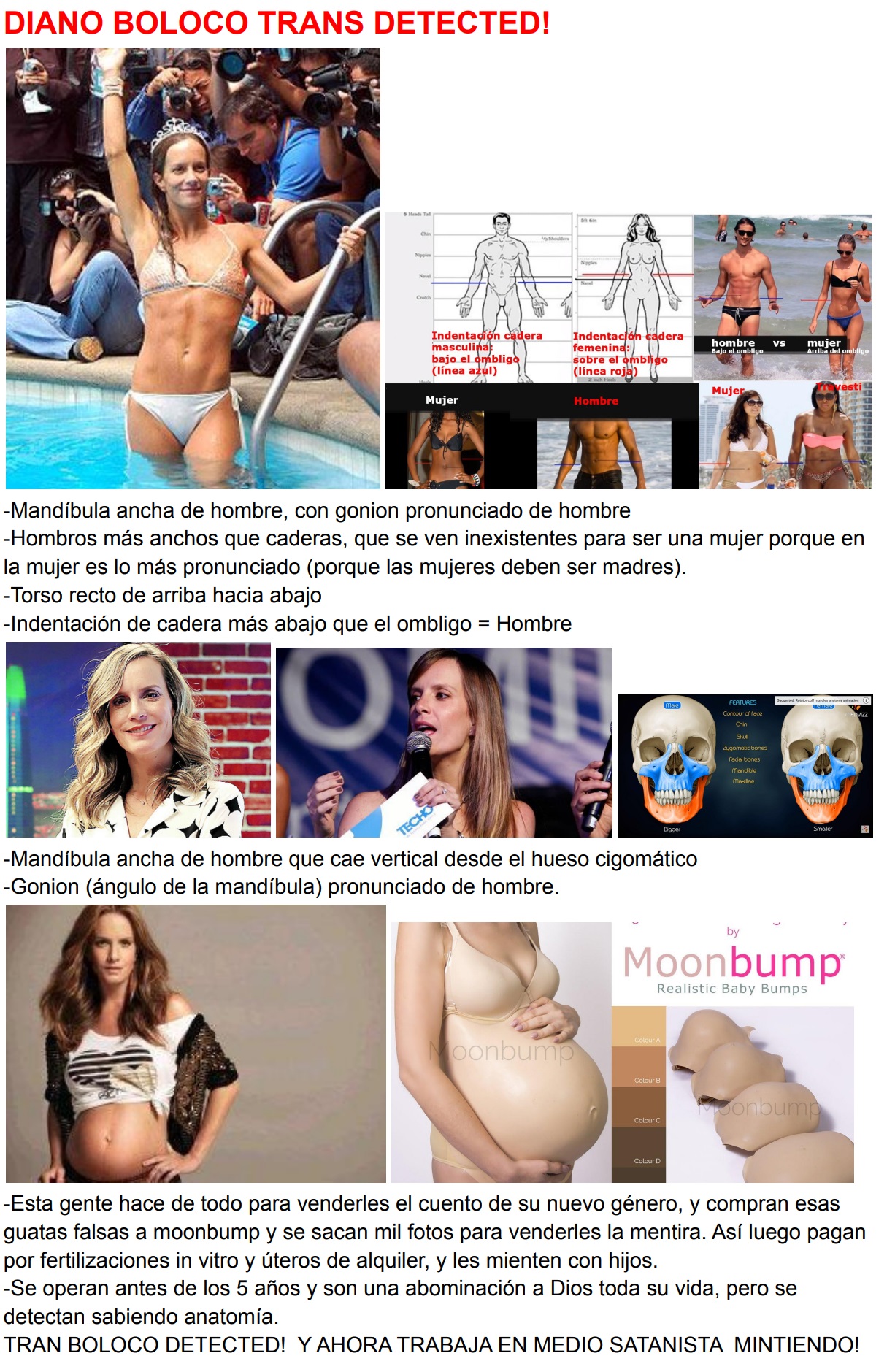 Diano-bolocco-trans.jpg