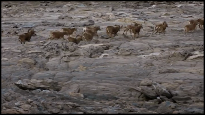 [Image: 2dxdpy632vvo.png]