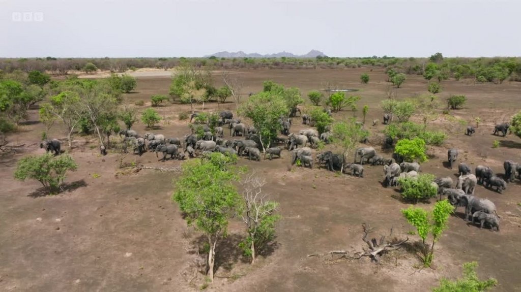 [Image: hmbha04q36jf.jpg]