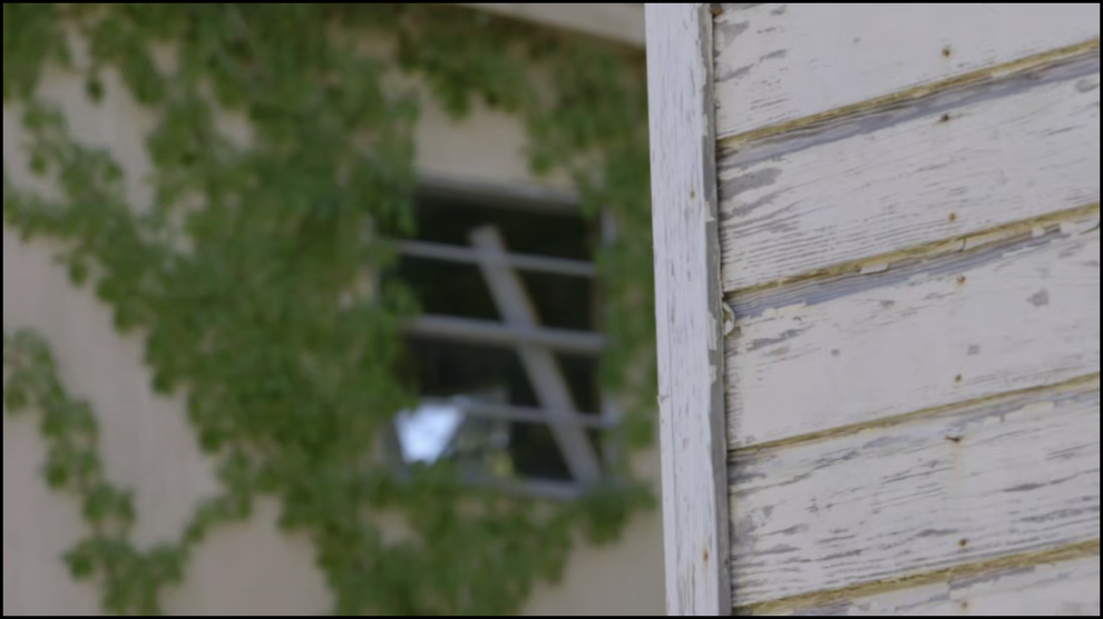 [Image: b1qrqm803uhs.png]