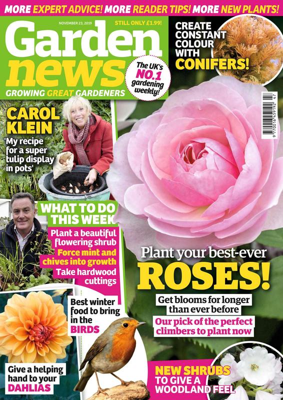 Garden-News-23-November-2019.jpg