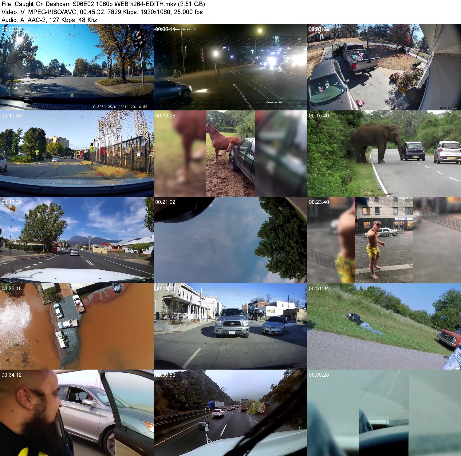 [Image: a76fs9si9plb.jpg]