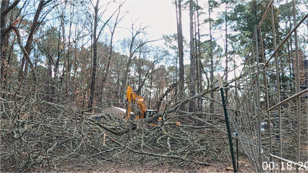 [Image: 5s6lqw8juq5c.png]