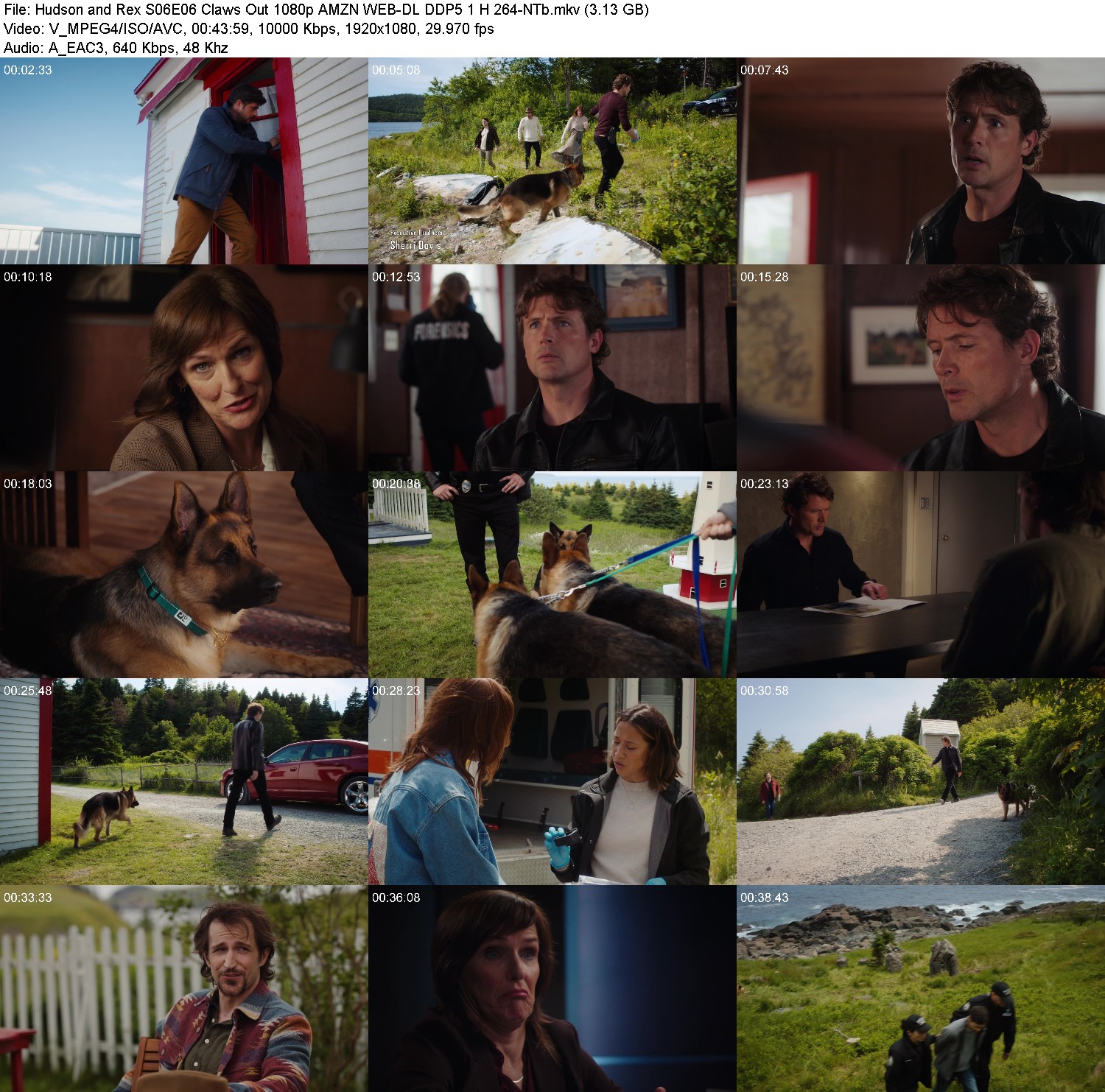 [Image: iov9eg6amg19.jpg]