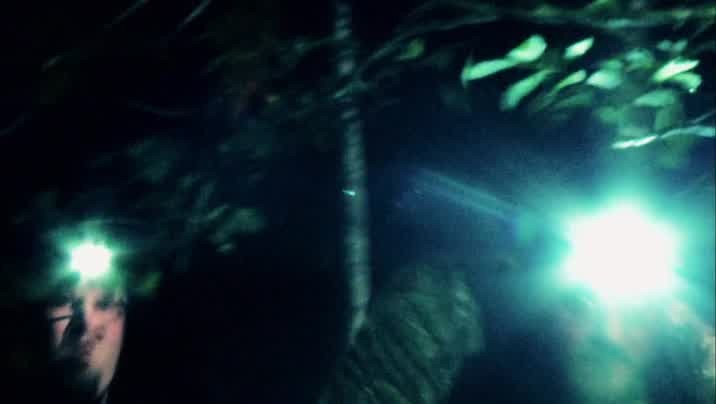 [Image: 9yj5qbw0j8zm.jpg]