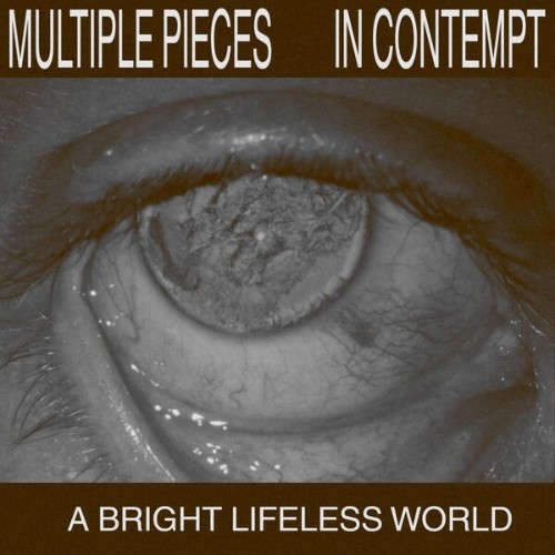 Multiple Pieces - A Bright Lifeless World (2026) FLAC