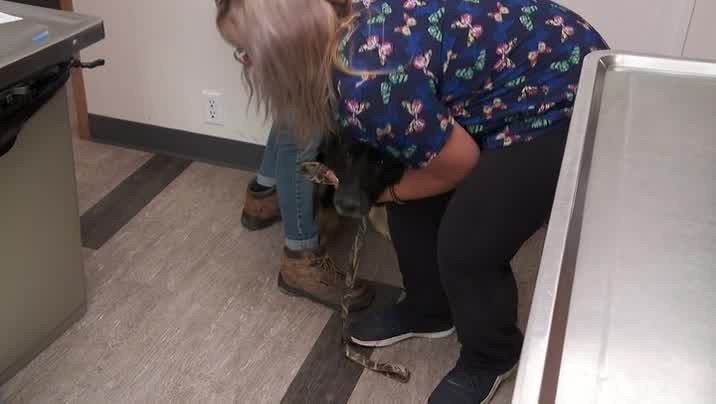 [Image: gdd1du7d1cx0.jpg]