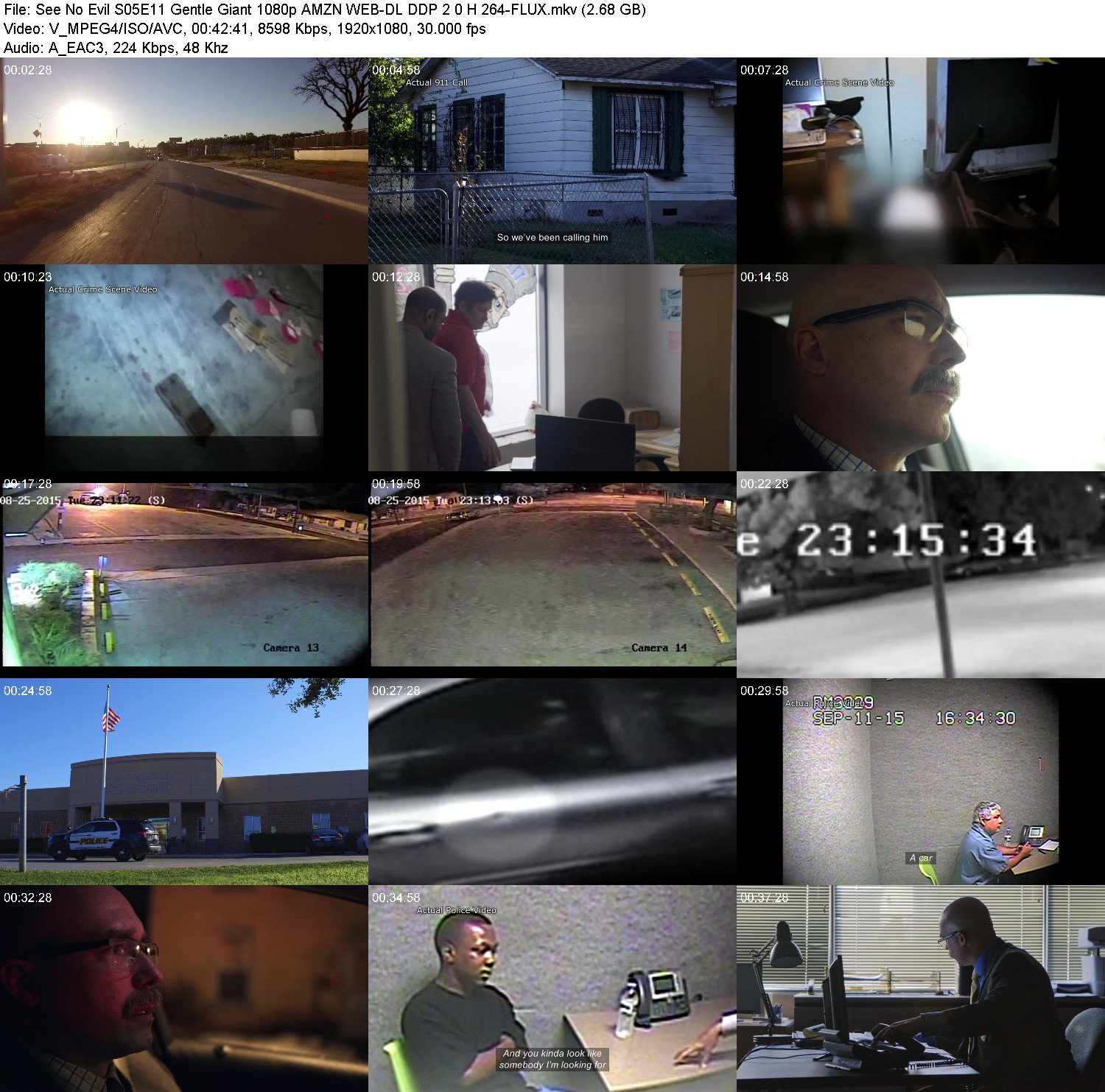 [Image: 0jyn2gox68oy.jpg]