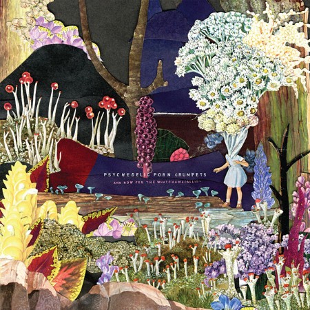 Psychedelic Porn Crumpets - And Now For The Whatchamacallit (2019)