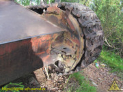IMG-6134