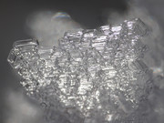 DSC02137-crop