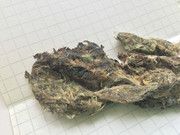 5AA77C9C-4F83-4578-838F-B90A8764E30A