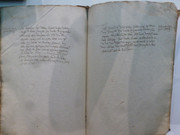 P1130314