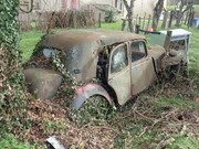 IMG-8539.jpg