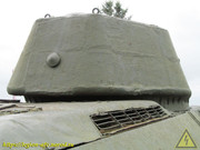 IMG-8882