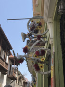 IMG-8896