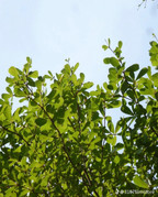 photo 20 2025 12 12 15 26 37