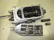 IMG-5502.jpg