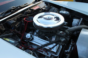 IMG-3574.jpg