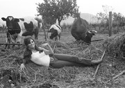 raquel-welch-f97