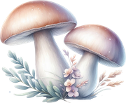 tk-Bunny-Kisses-mushrooms5