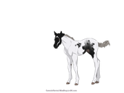 B0FB8FE9-2752-496B-B0E6-670E065F3ACA